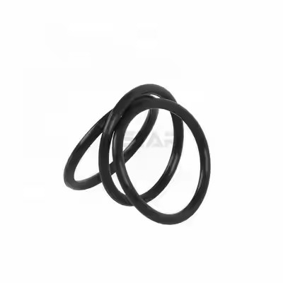 1095885 닦은 트리보 엔코어 제2 세대 파우더 코팅 펌프 O 링 사용자 지정 OEM 지원