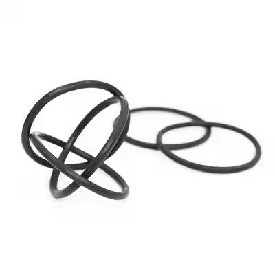 1095885 닦은 Tribo Gen II 파우더 코팅 펌프 O 링 사용자 지정 OEM 지원