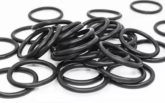 1095885 닦은 Tribo Gen II 파우더 코팅 펌프 O 링 사용자 지정 OEM 지원